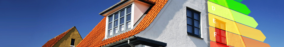 Banner - Frank Meyer